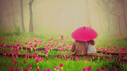 Romantic Flowers & Couple With Umbrella HD Desktop Wallpaper