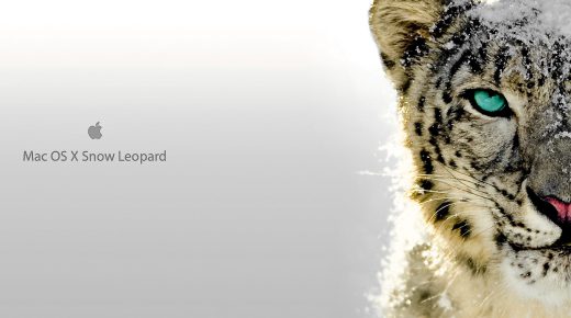 Snow Leopard Mac OS X High Definition Desktop Monitor Mobile Wallpaper