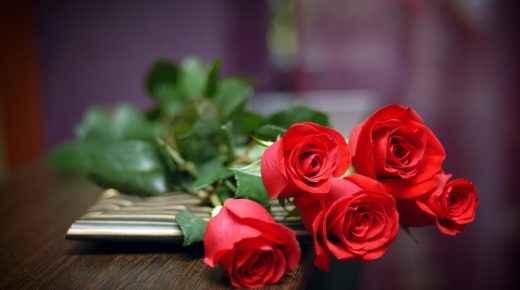 Red Roses of Love On Table HD Wallpaper