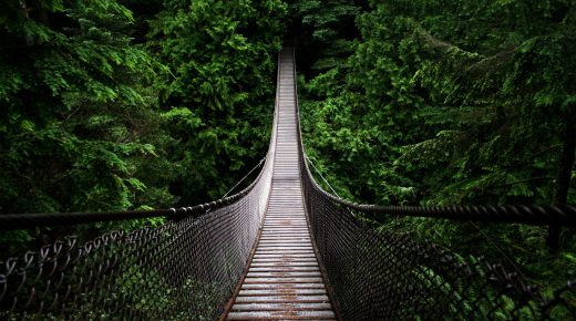 Bridge In The Forest HD Wallpaper