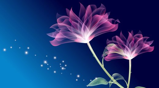 Cool Abstract Flowers HD Desktop Wallpaper